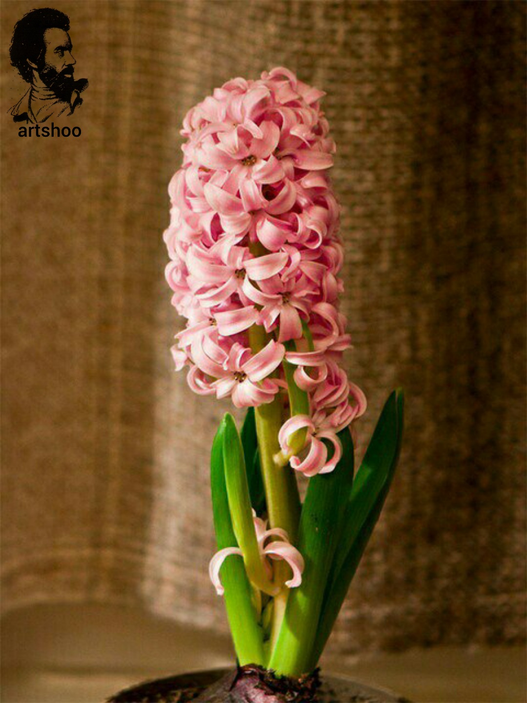 گل اورژینال رنگ روغن